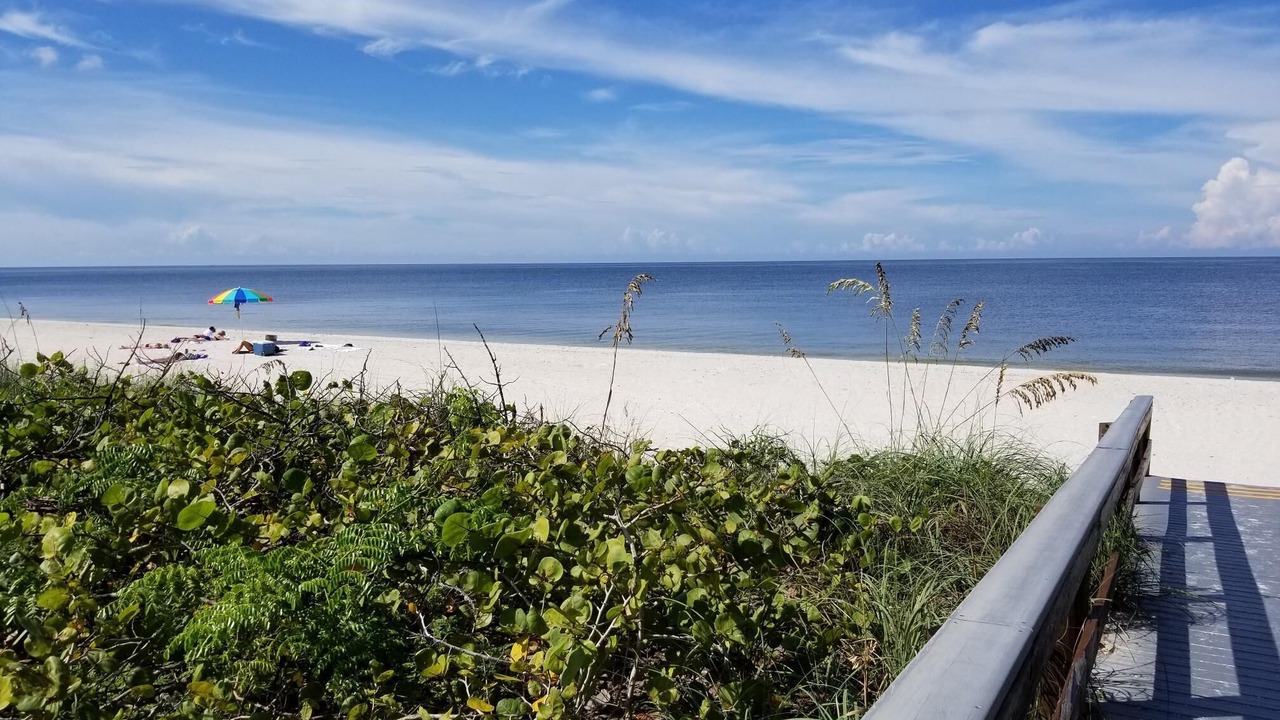 Photo of Others in Bonita Springs
