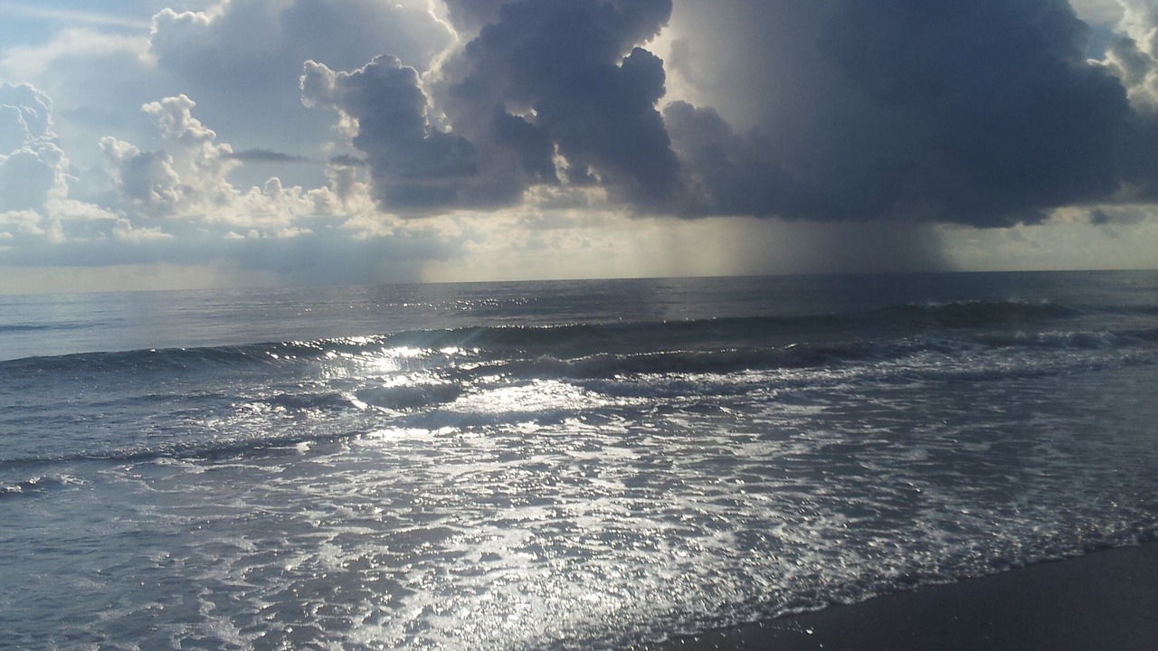 Photo of Others in Hutchinson Island South