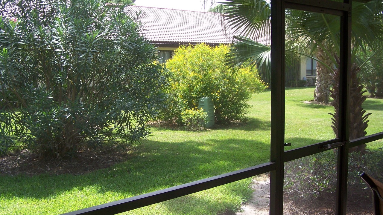 Photo of Others in Sarasota