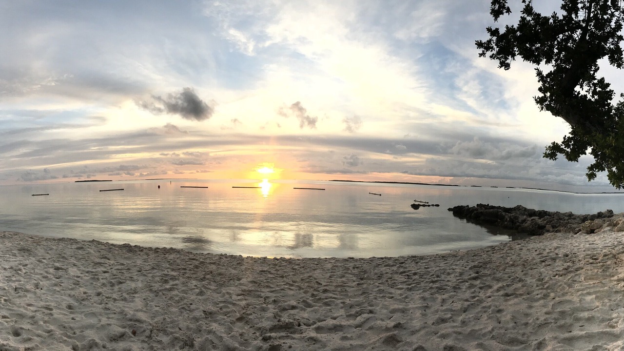 Photo of Others in Key Largo
