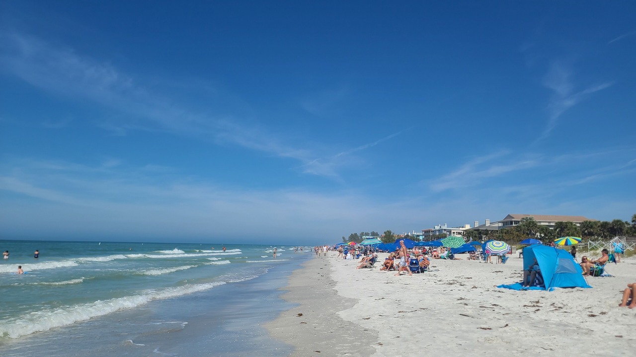 Photo of Others in Indian Rocks Beach