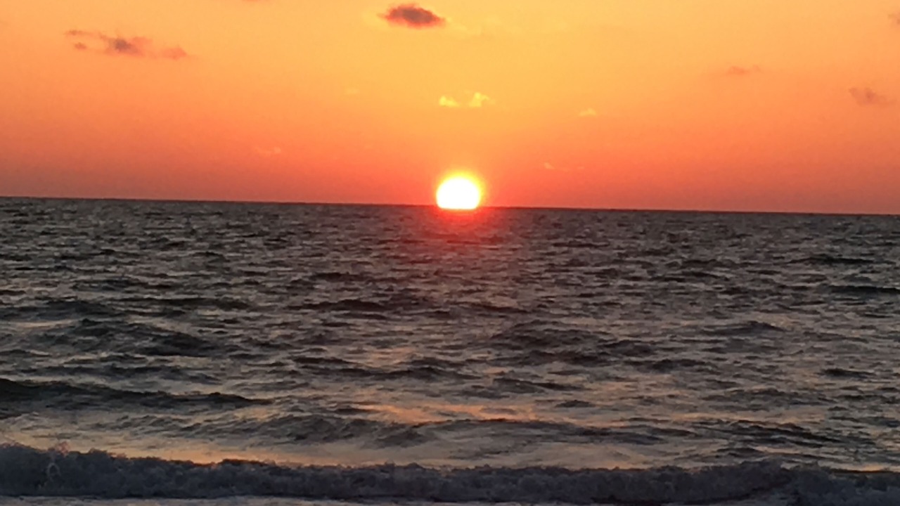 Photo of Others in Indian Rocks Beach