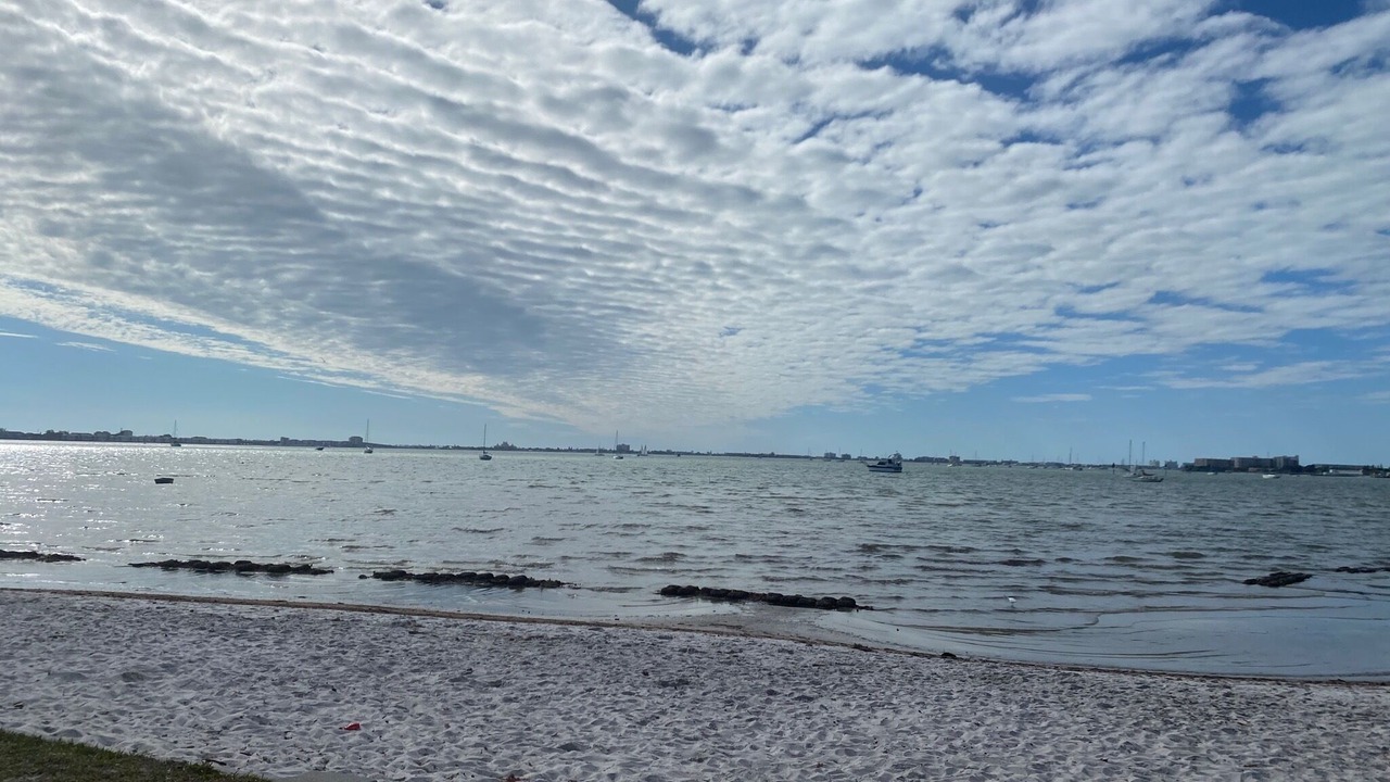 Photo of Others in Broadwater