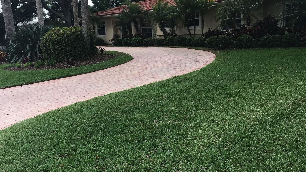 Photo of Outdoor in Siesta Key