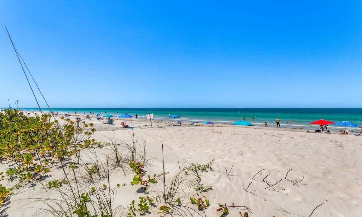 Photo of Others in Indian Rocks Beach