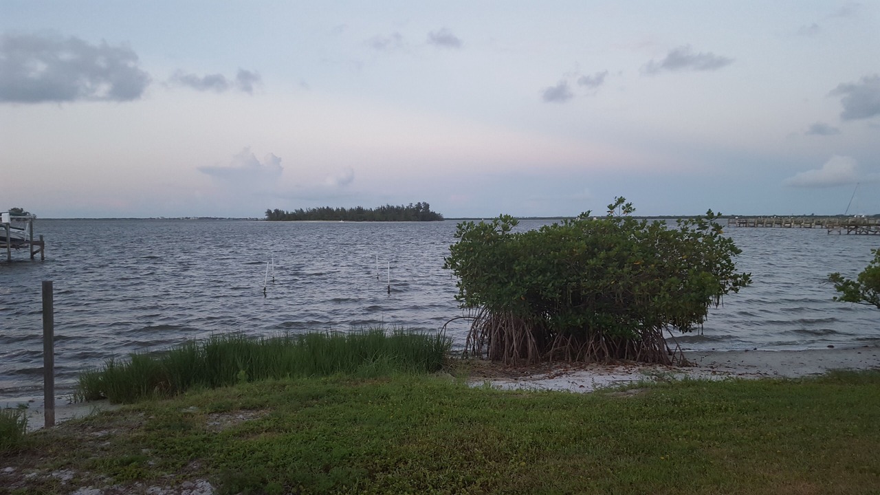 Photo of Others in Sebastian