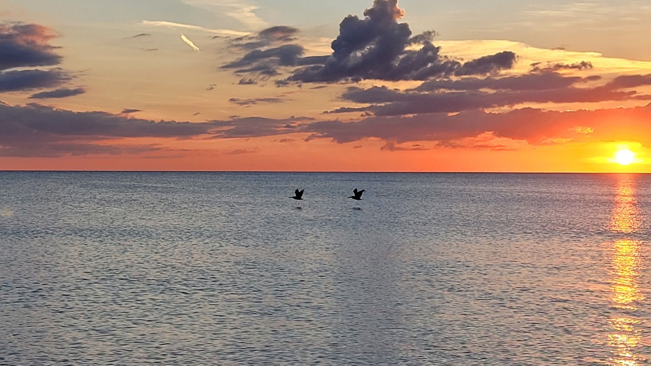 Photo of Others in Bonita Springs