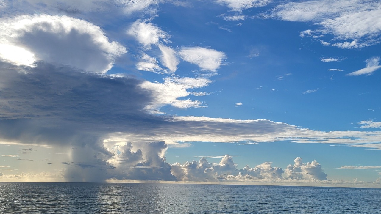 Photo of Others in Bonita Springs