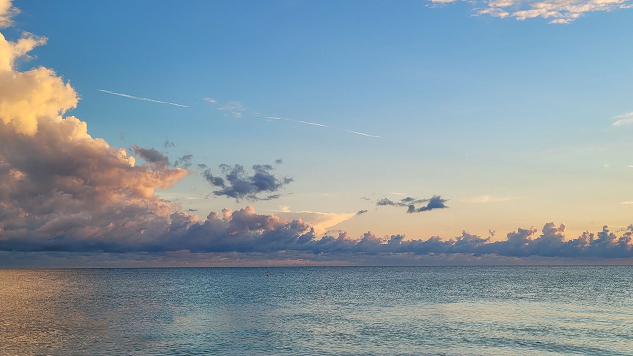 Photo of Others in Bonita Springs