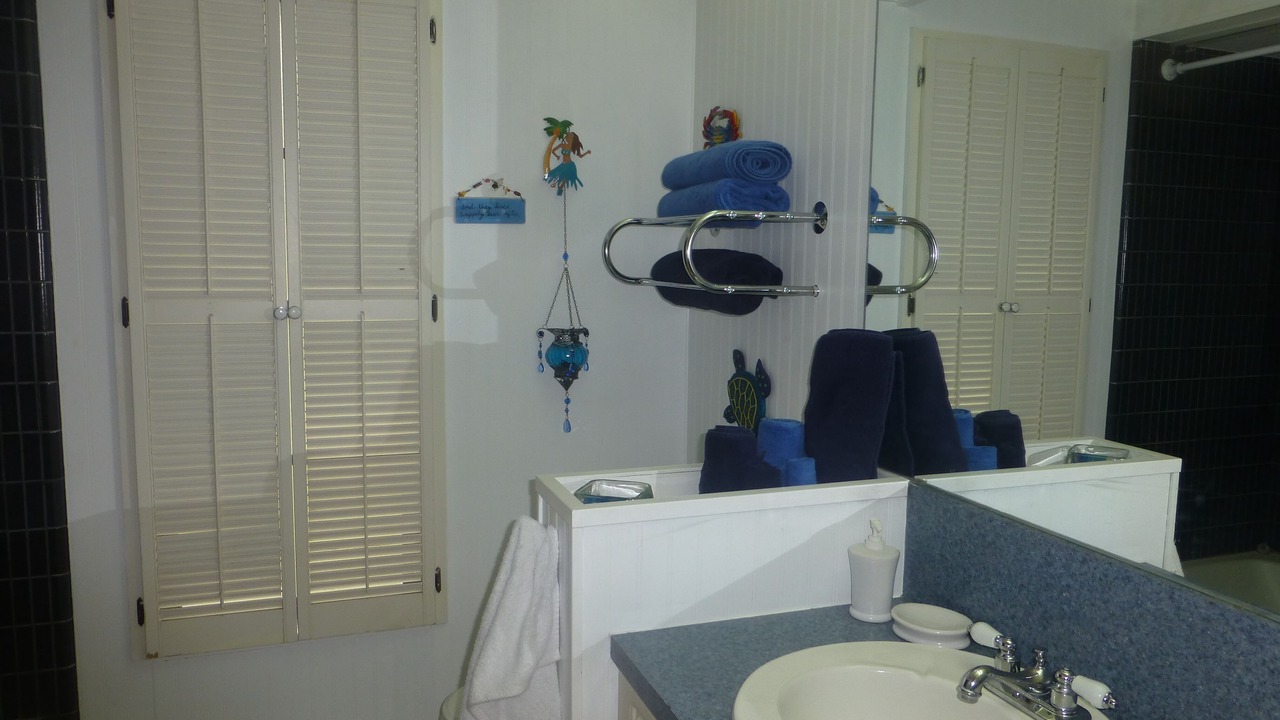 Photo of Bathroom in Carrollwood