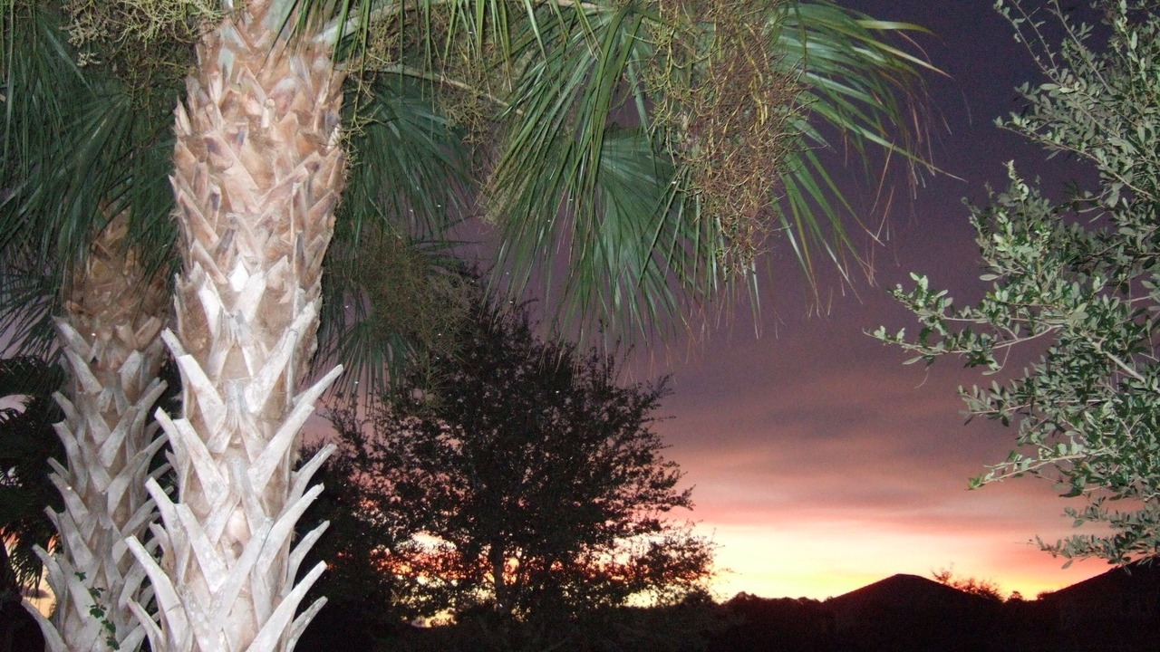 Photo of Others in Bonita Springs