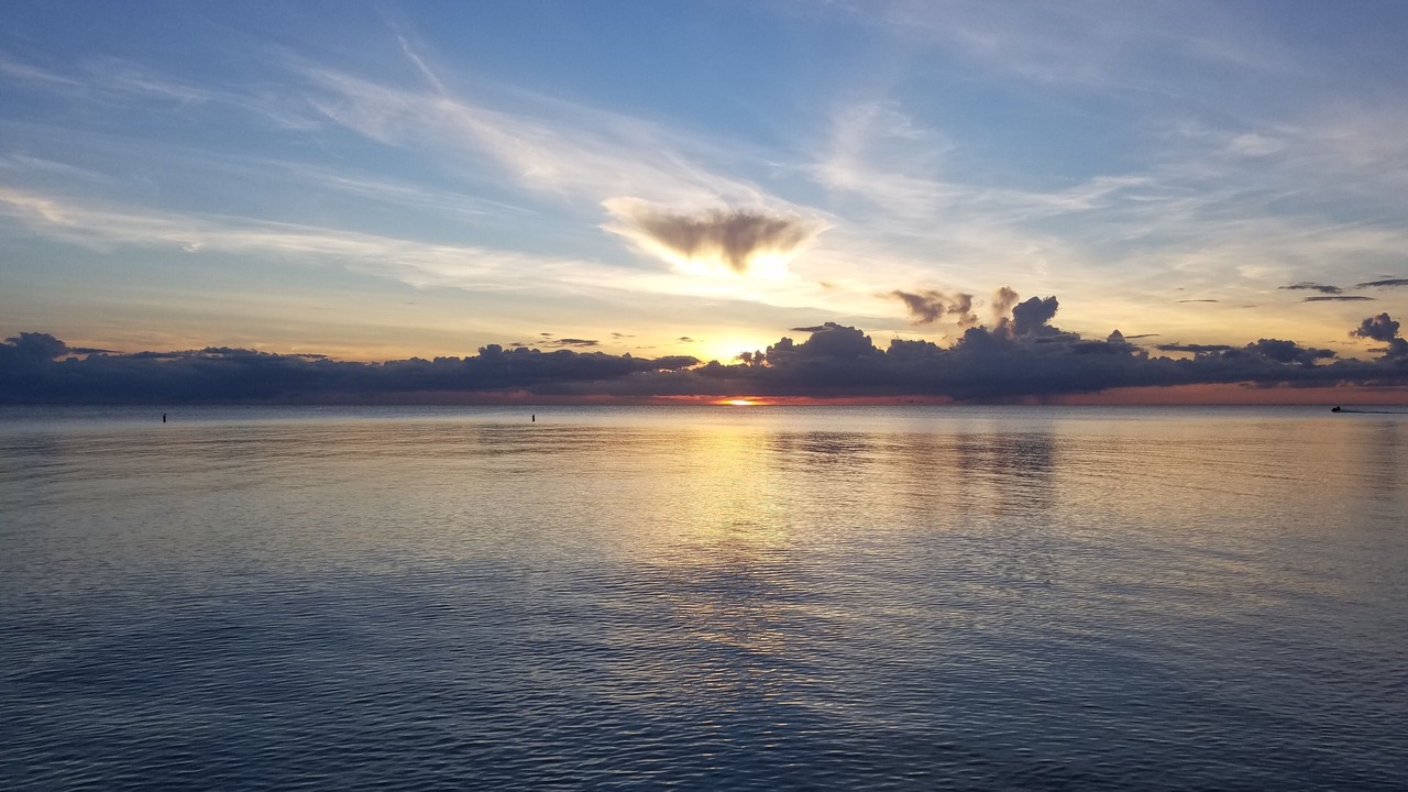 Photo of Others in Bonita Shores