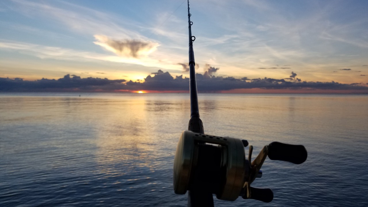 Photo of Others in Bonita Shores