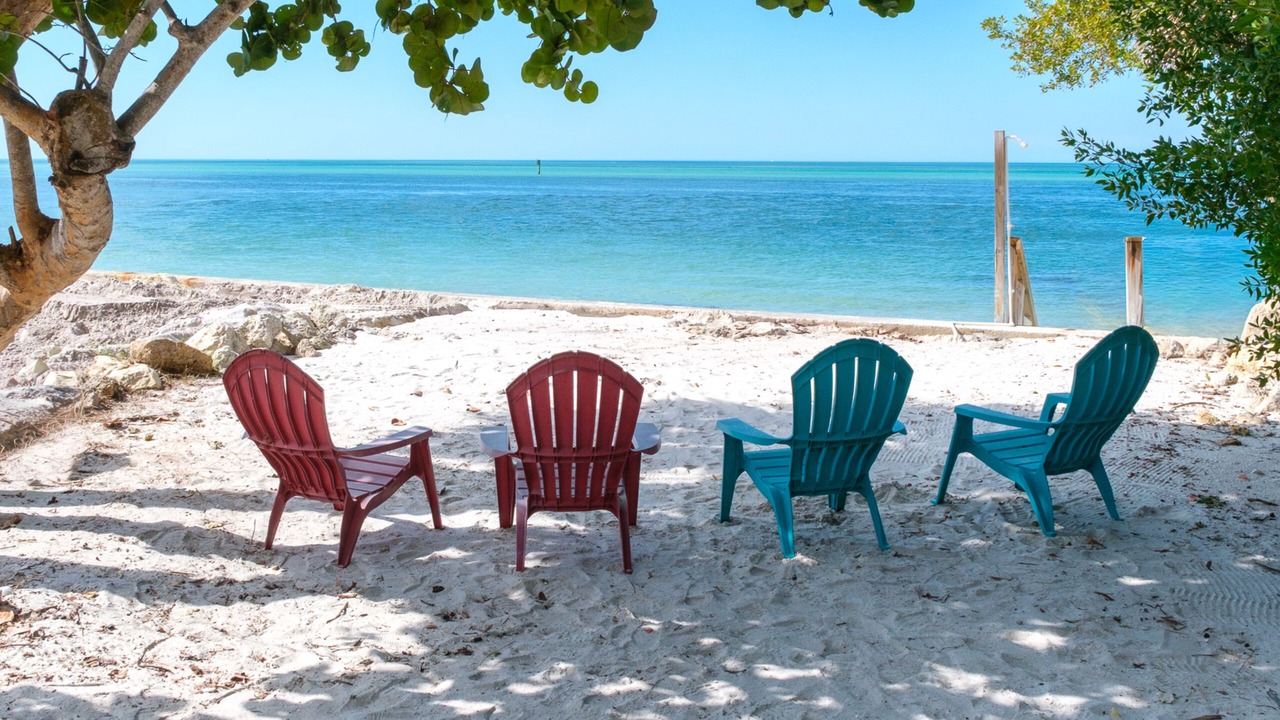 Photo of Others in Siesta Key
