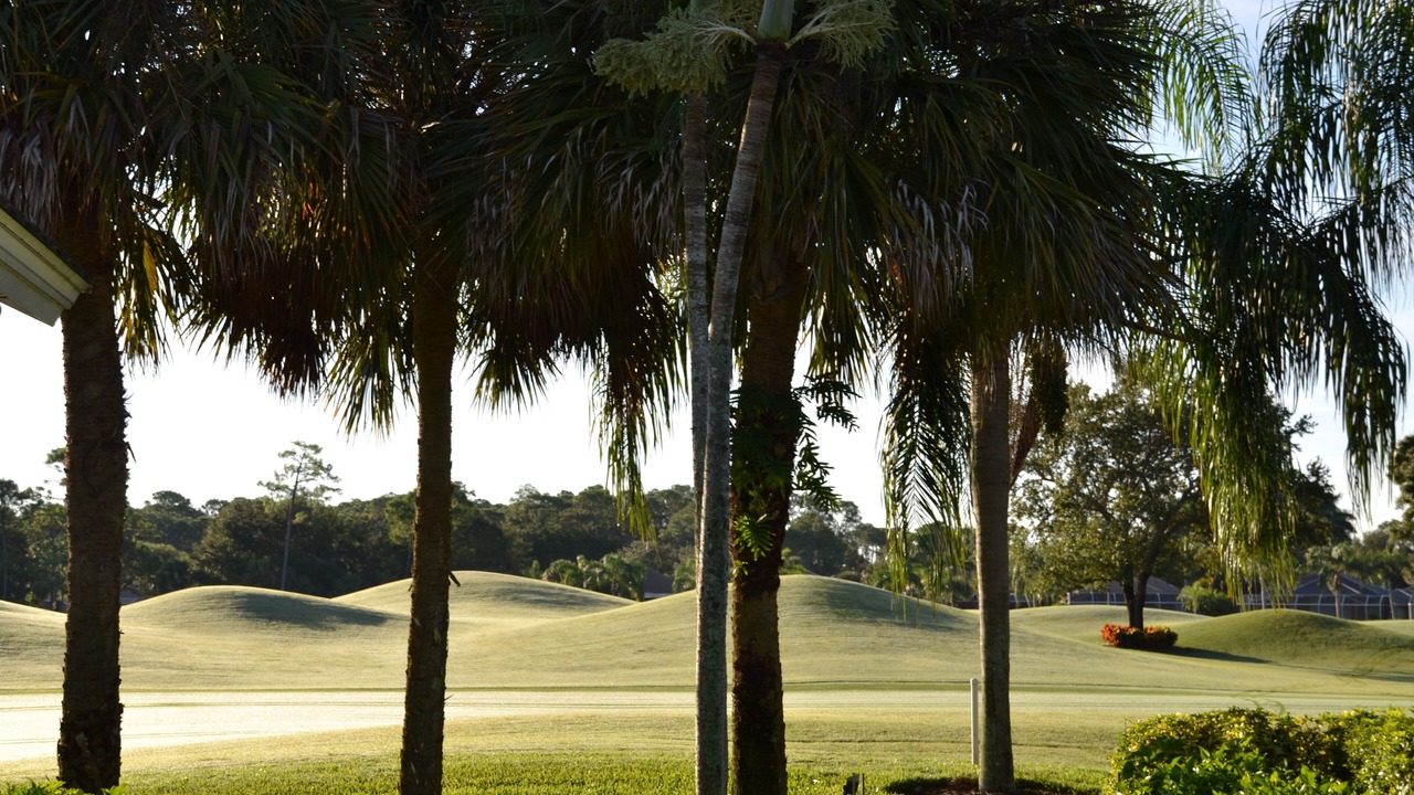 Photo of Outdoor in North Naples