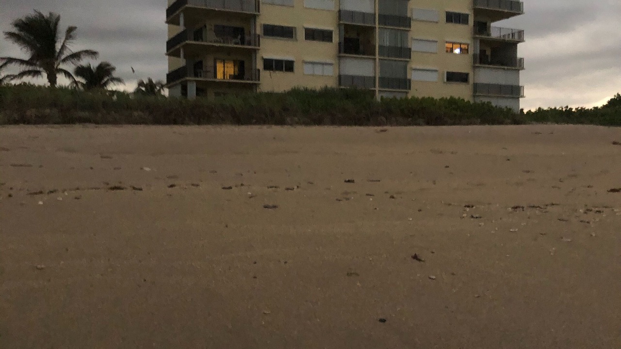 Photo of Outdoor in Hutchinson Island South