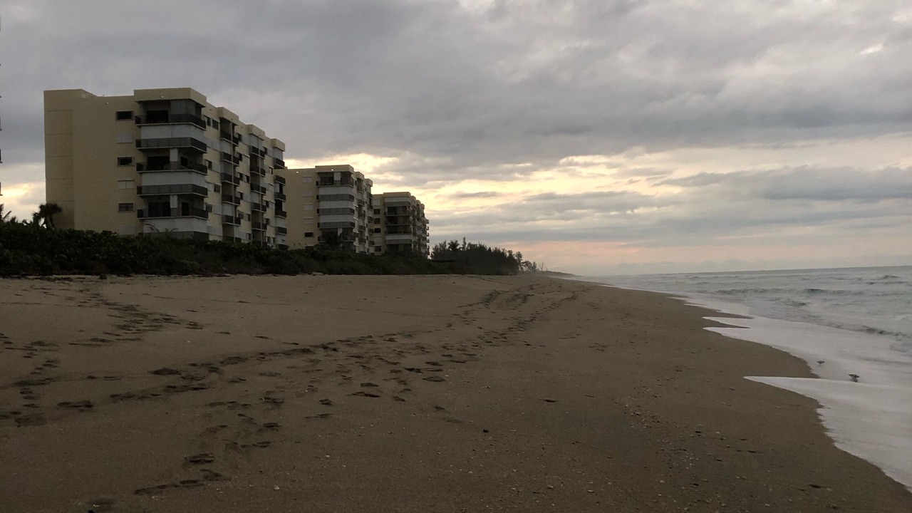 Photo of Others in Hutchinson Island South