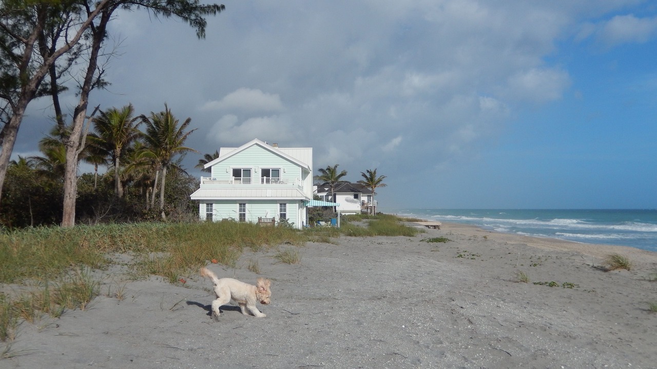 Photo of Others in Hobe Sound