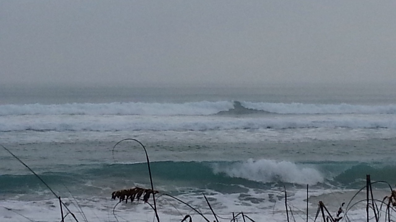 Photo of Others in Hobe Sound