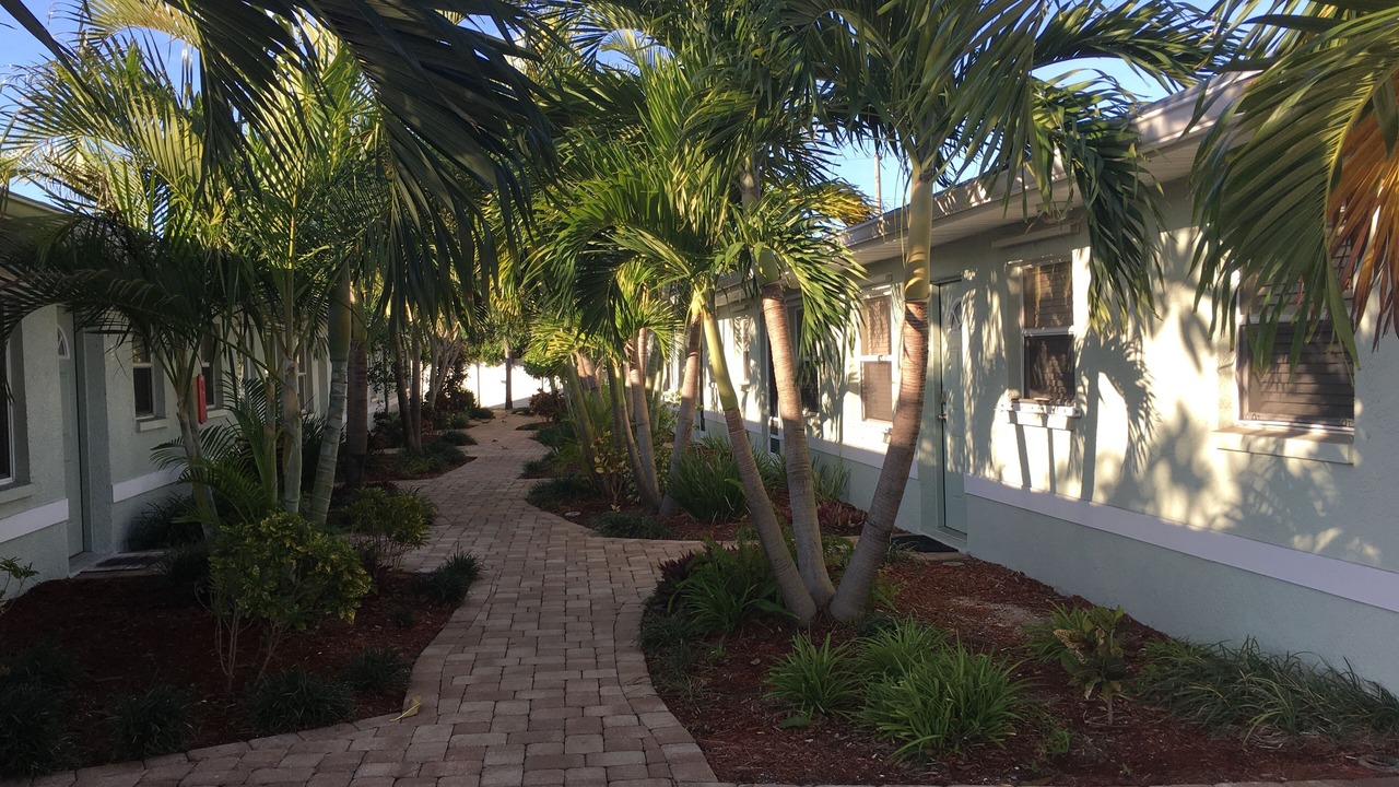 Photo of Outdoor in St. Pete Beach