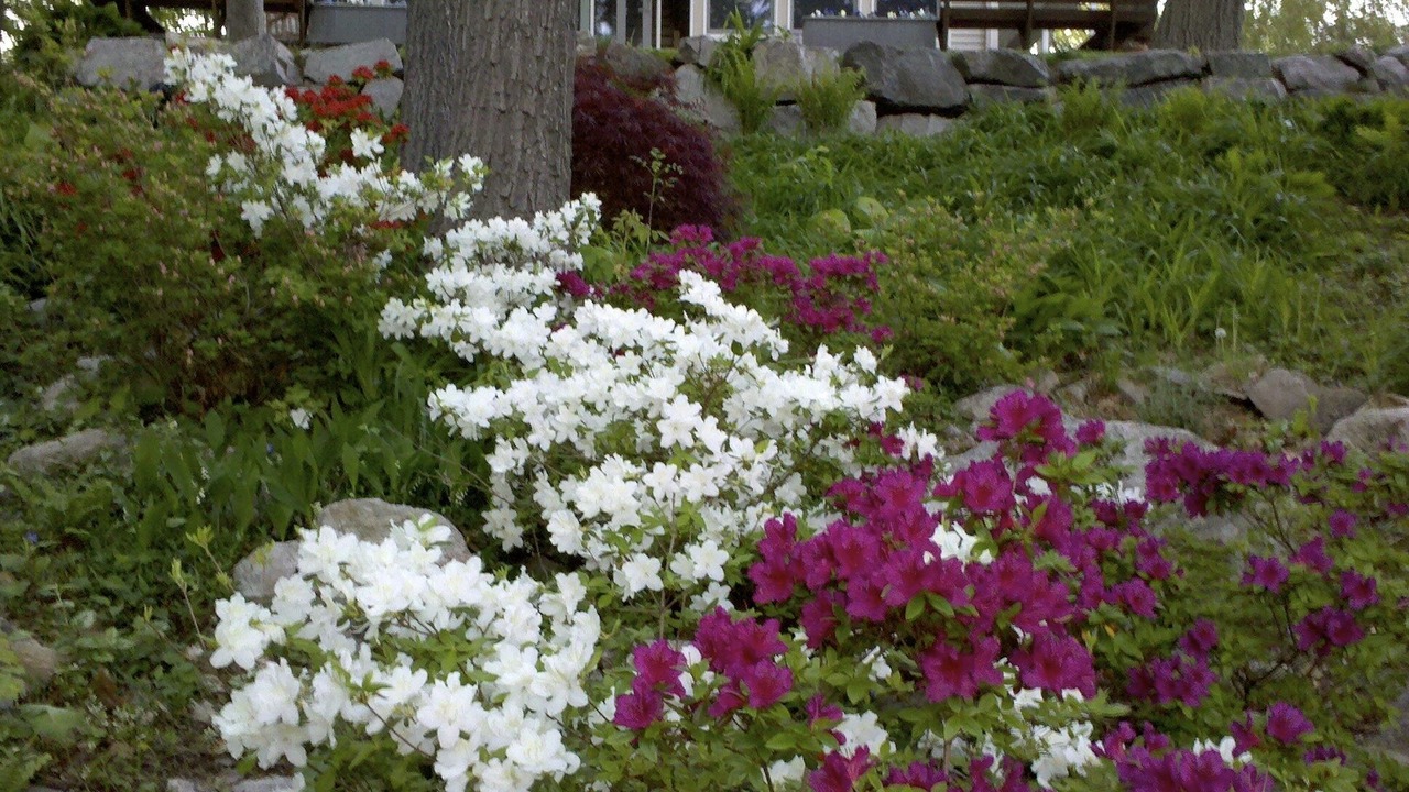 Photo of Outdoor in West Milford