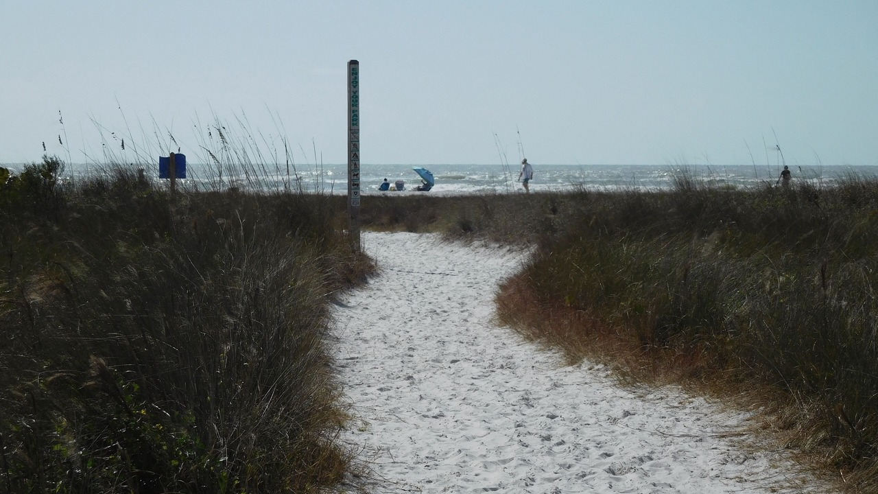 Photo of Others in Siesta Key