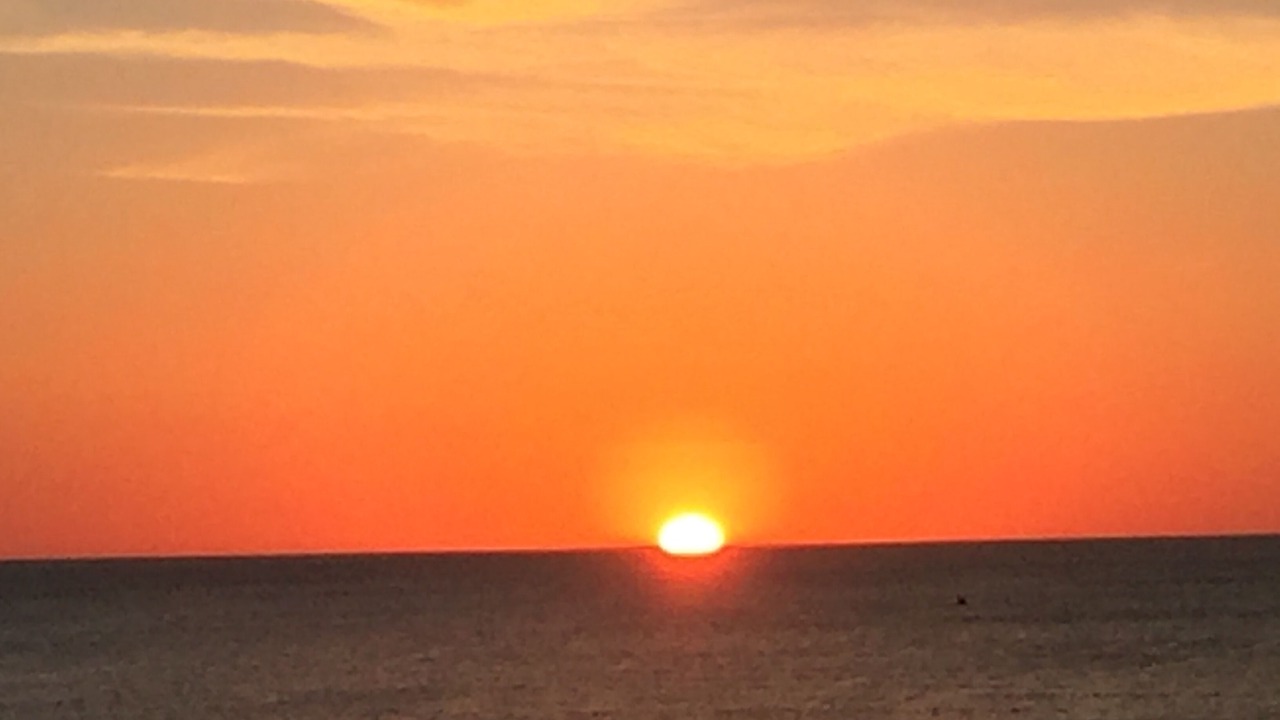 Photo of Others in Marco Island