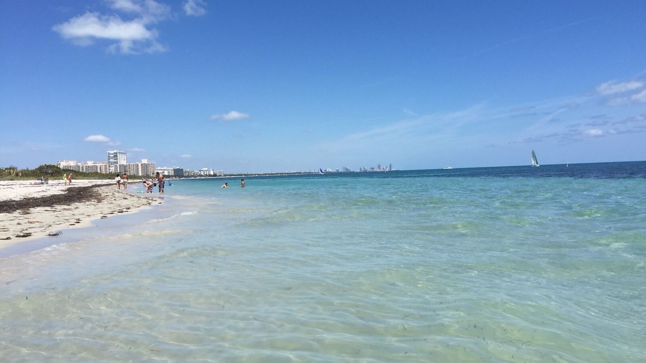 Photo of Others in Key Biscayne