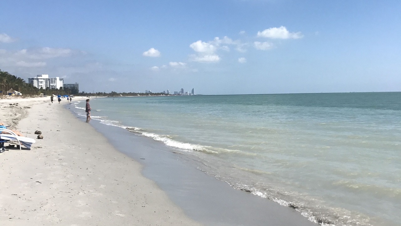 Photo of Others in Key Biscayne