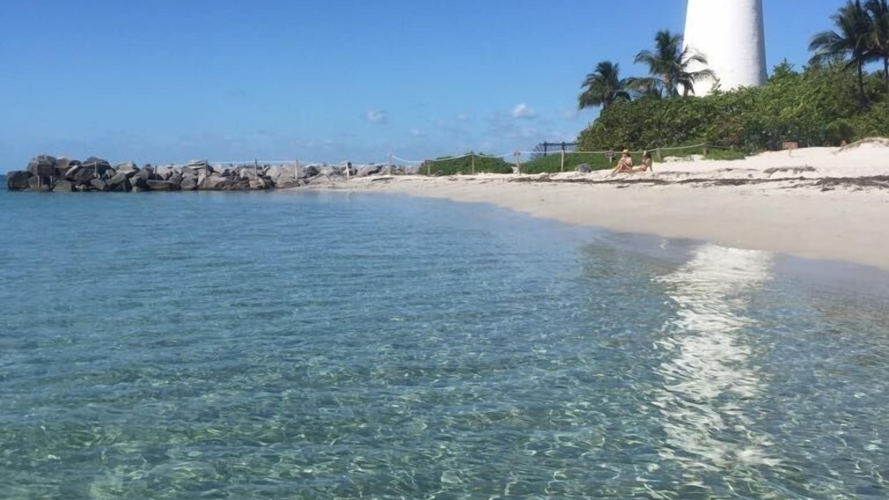Photo of Others in Key Biscayne