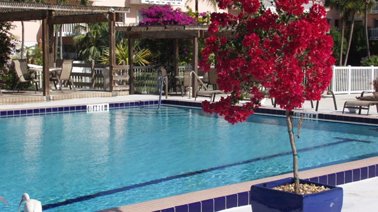 Photo of Outdoor in Key West