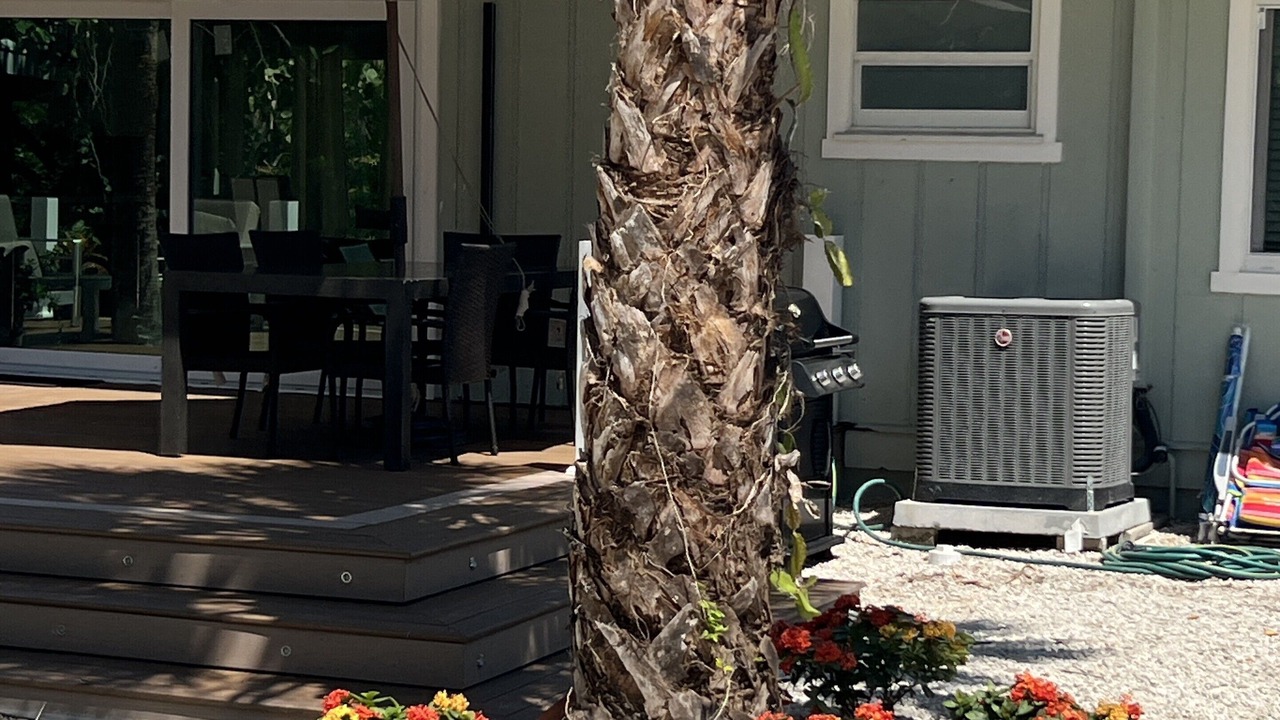 Photo of Patio Balcony in Sanibel