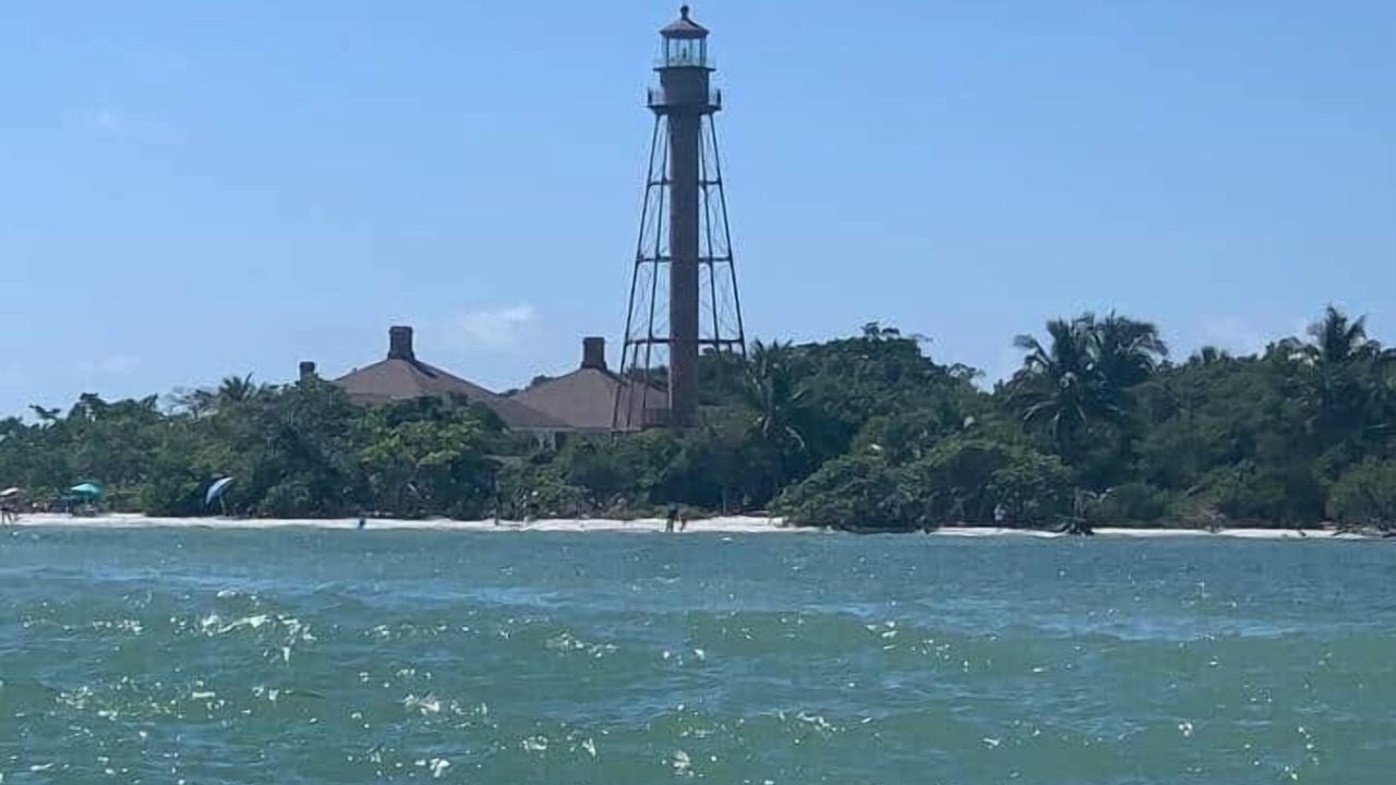 Photo of Others in Sanibel