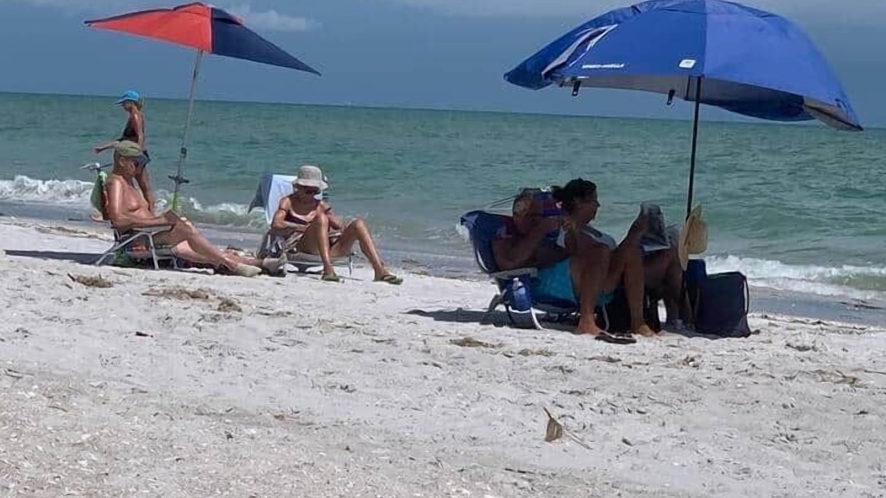 Photo of Others in Sanibel