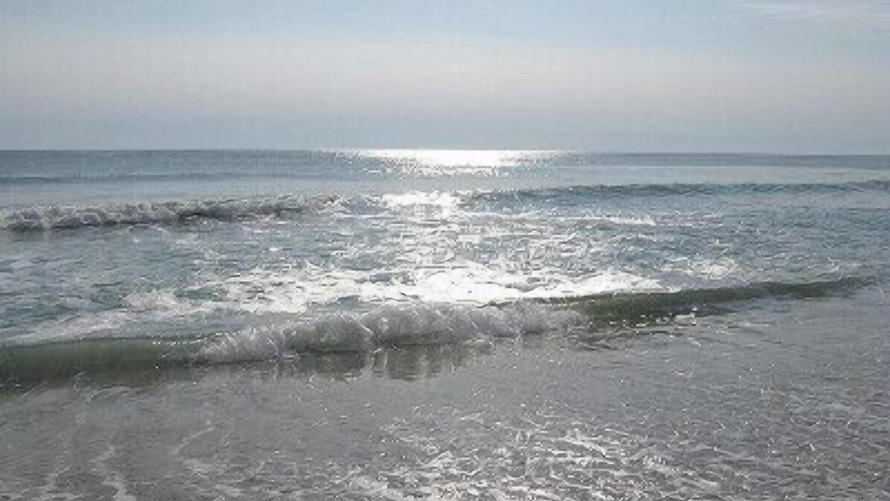 Photo of Others in Marco Island