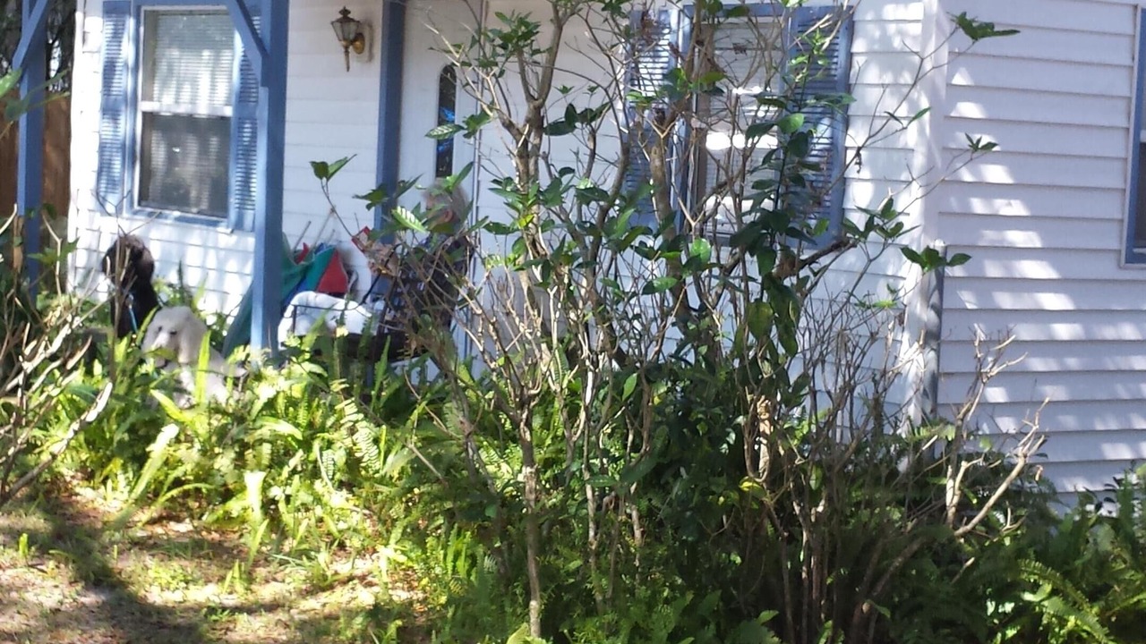 Photo of Outdoor in Disston Heights