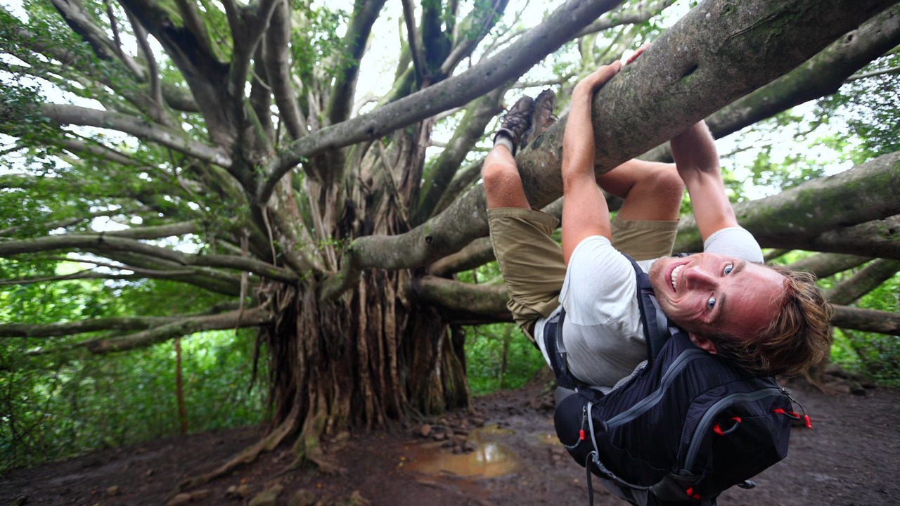 Photo of Outdoor in Coconut Grove