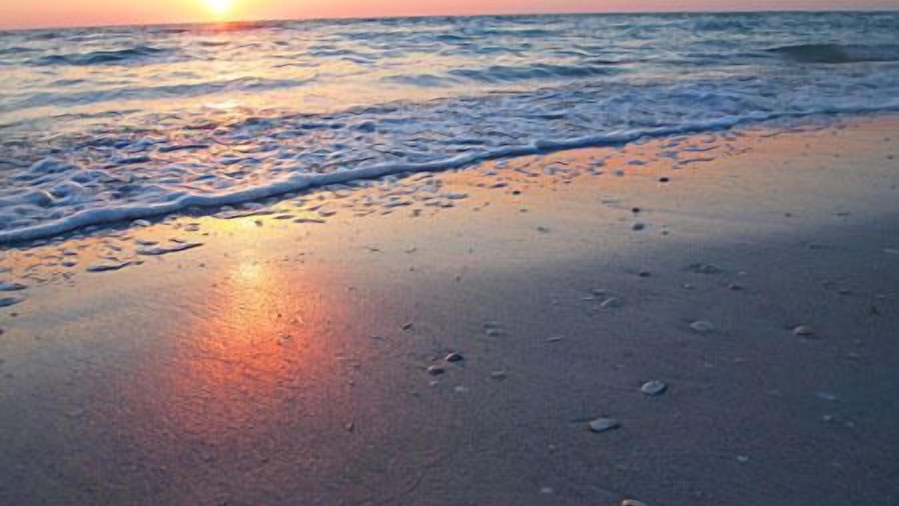 Photo of Others in St. Pete Beach