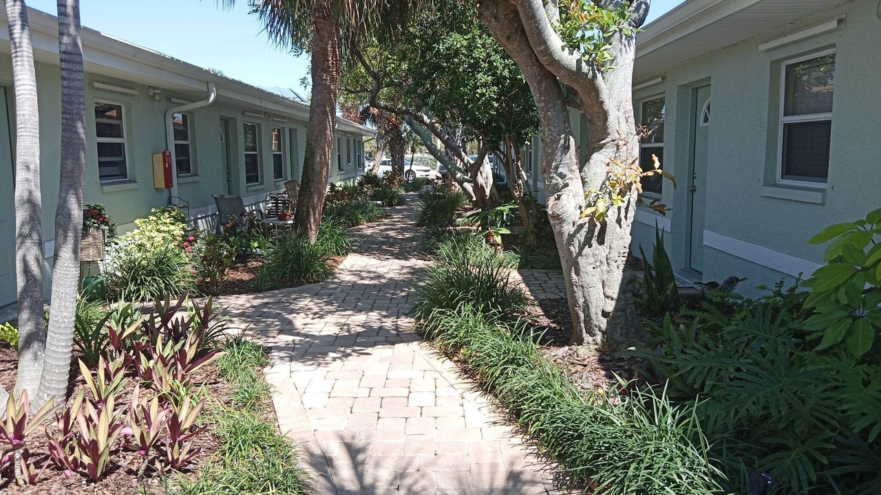 Photo of Outdoor in St. Pete Beach