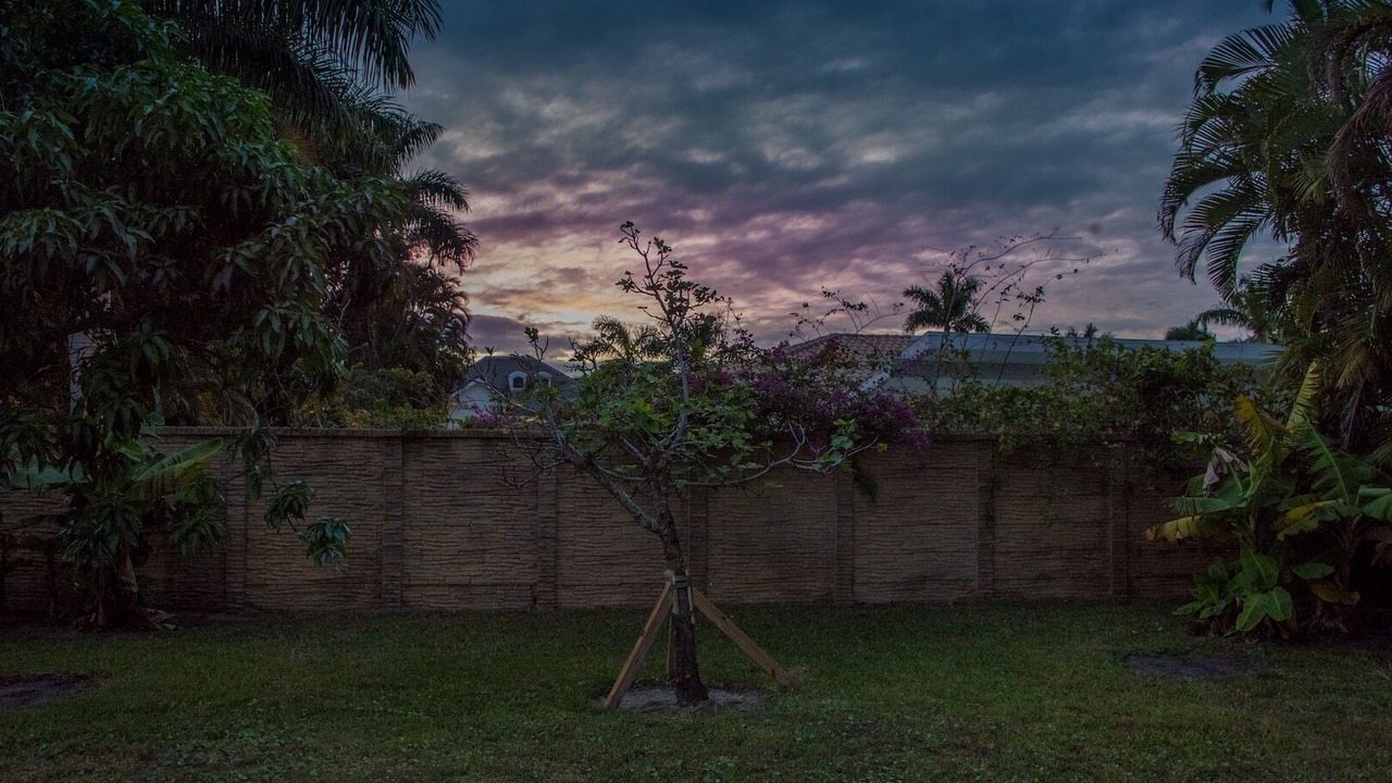 Photo of Outdoor in Park Shore