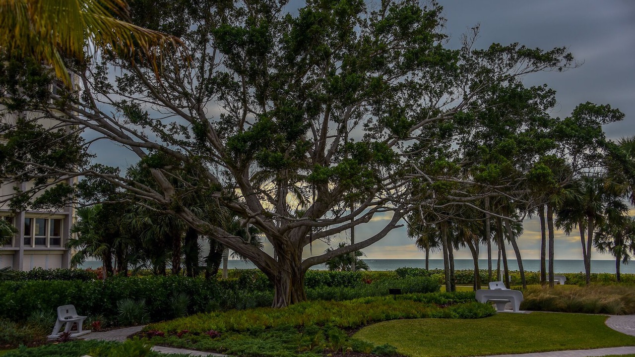 Photo of Outdoor in Park Shore
