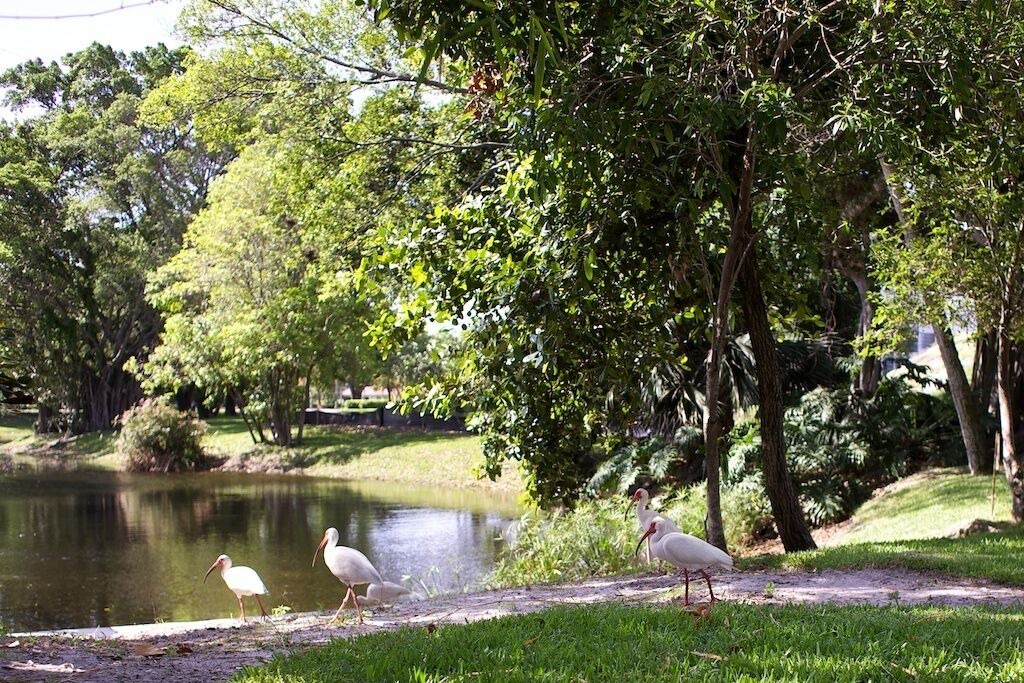 Photo of Outdoor in Survey Creek