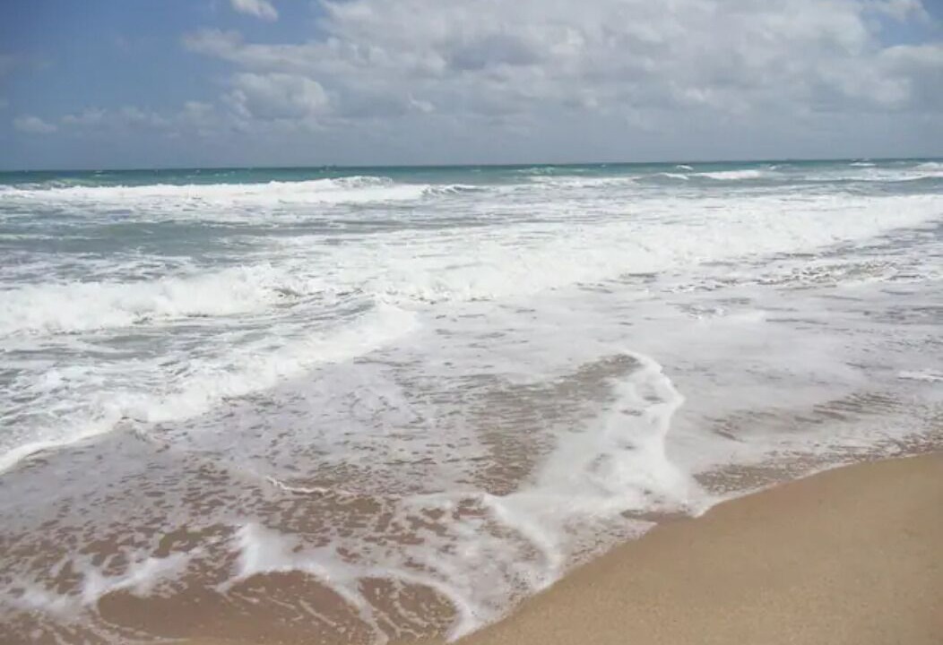 Photo of Others in Hutchinson Island South