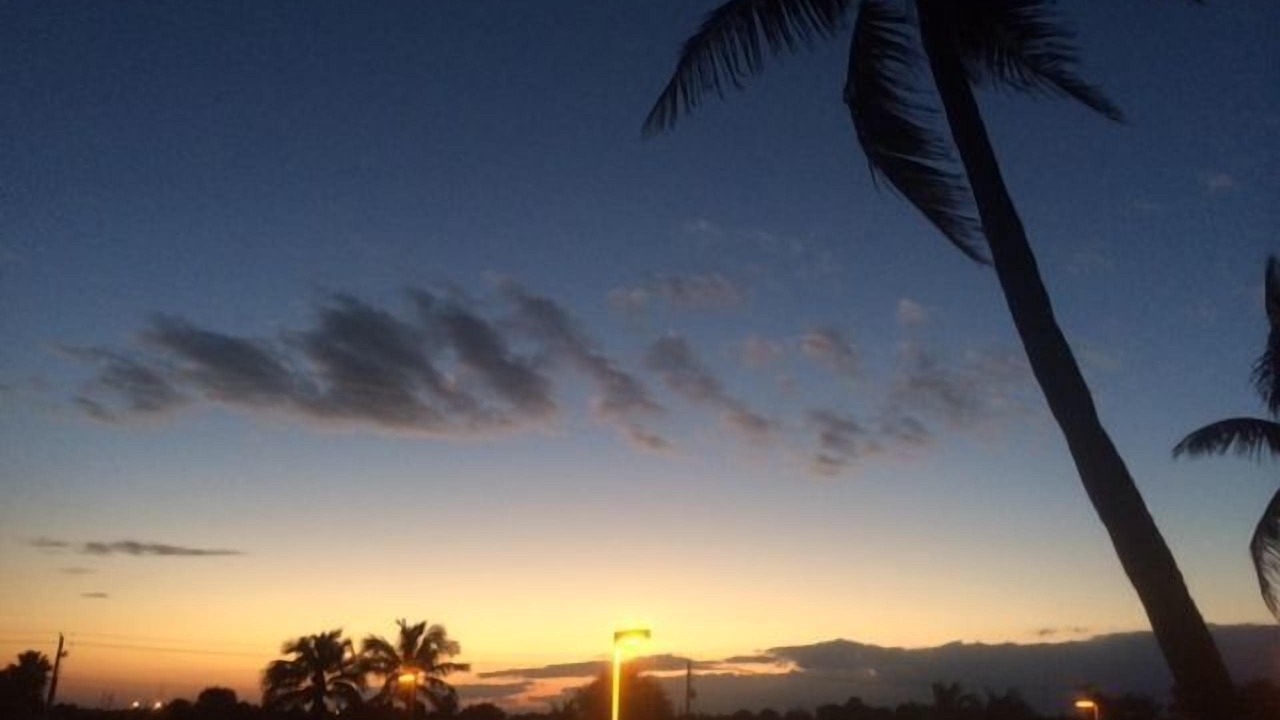 Photo of Others in Hutchinson Island South