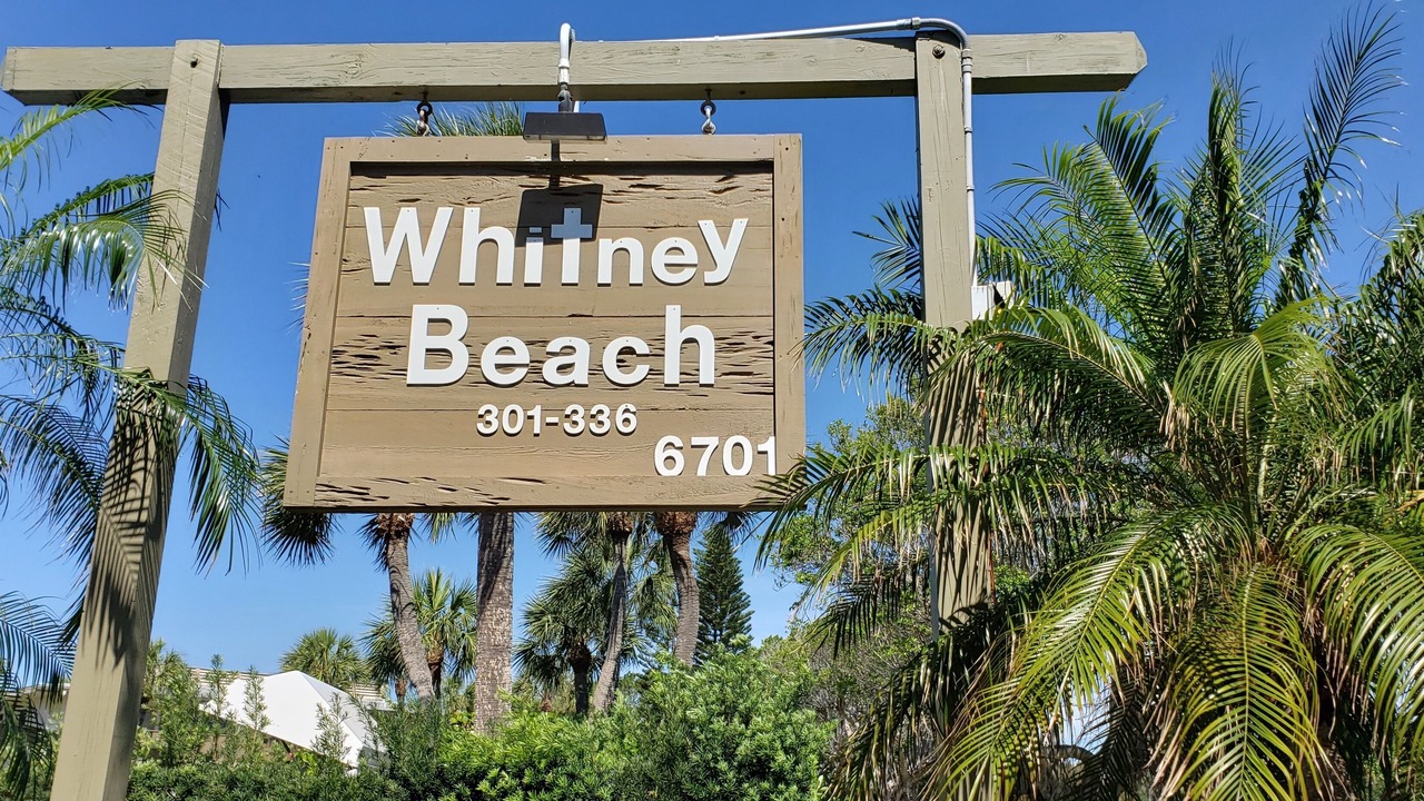 Photo of Others in Whitney Beach