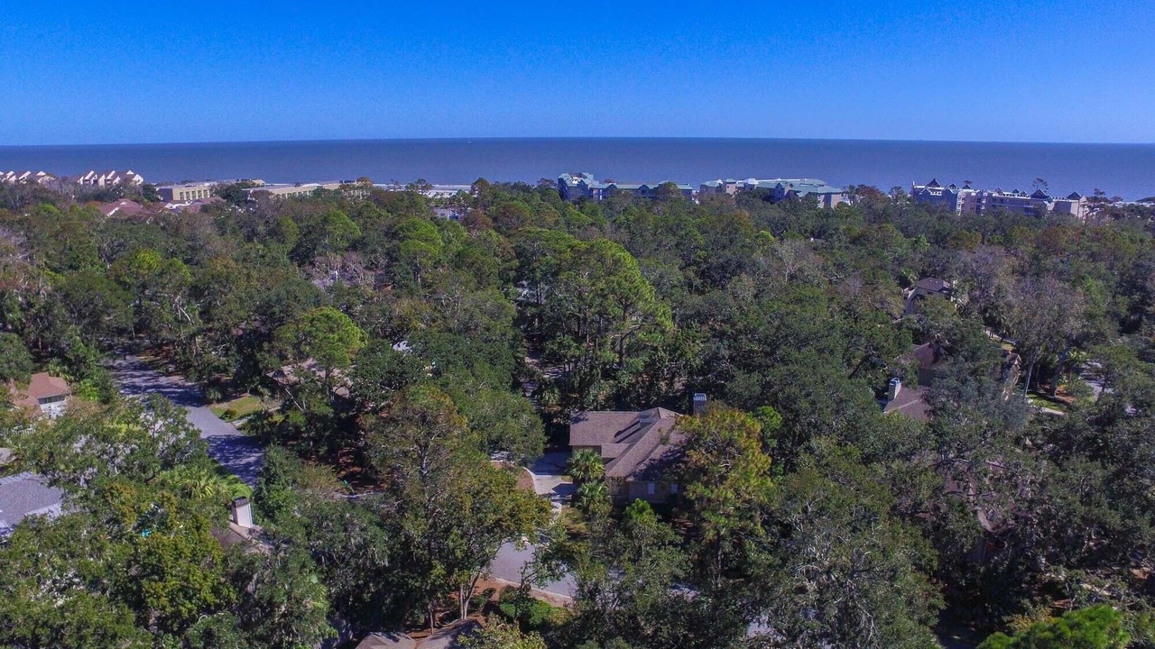 Photo of Others in Palmetto Dunes