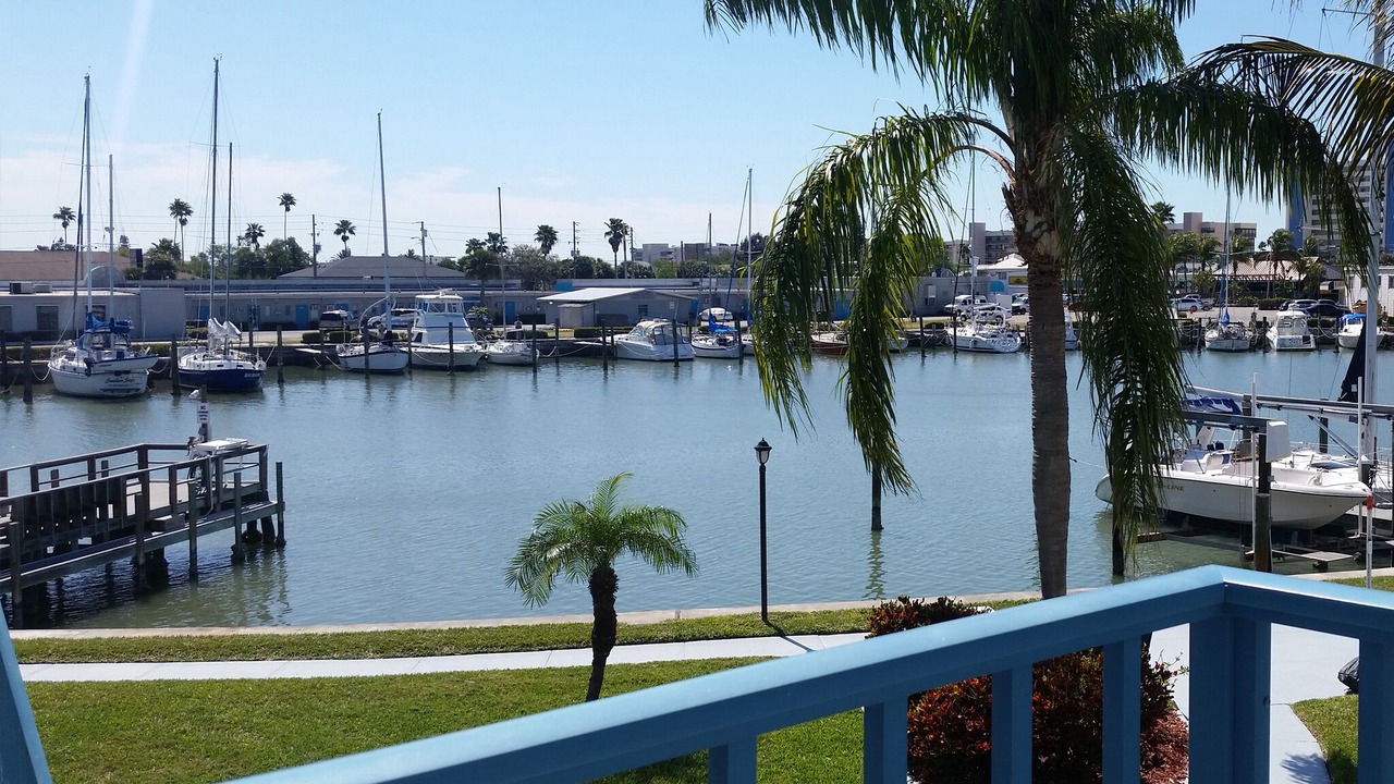 Photo of Others in Madeira Beach