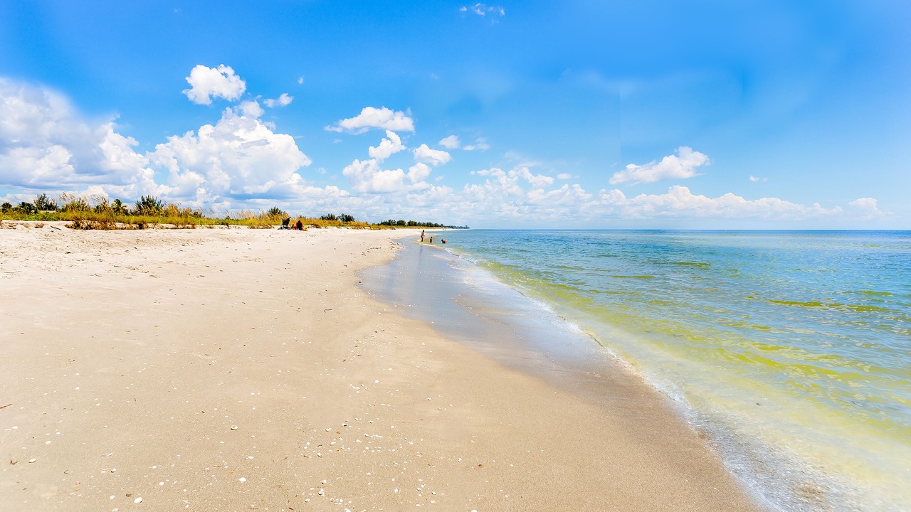 Photo of Others in Sanibel