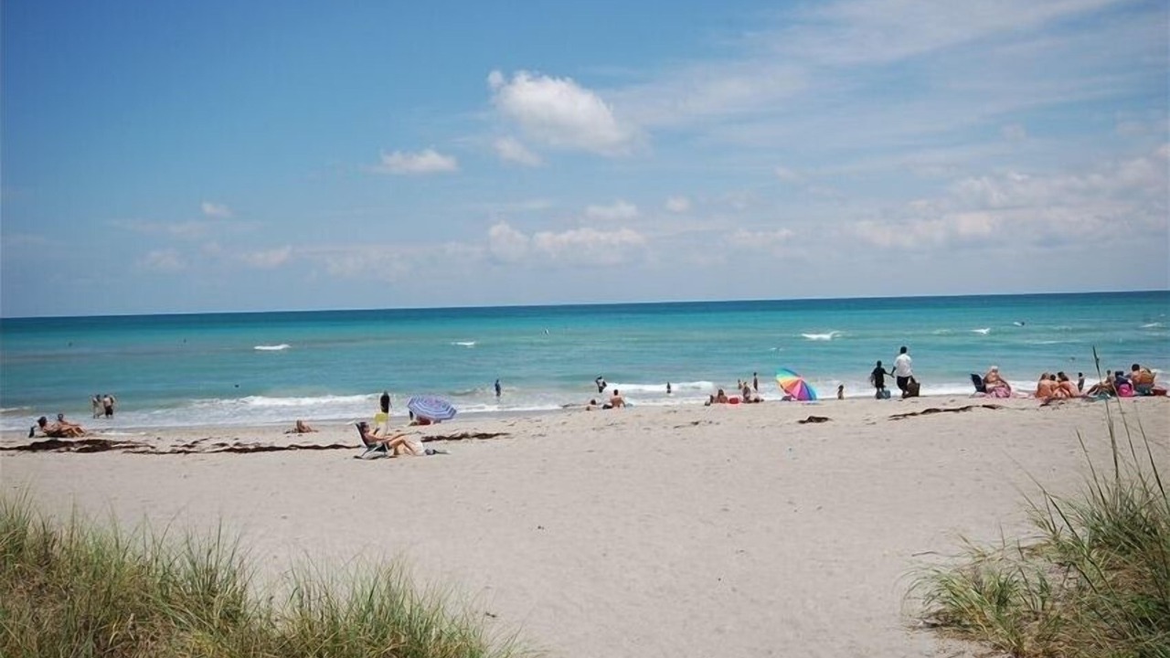 Photo of Others in Hobe Sound
