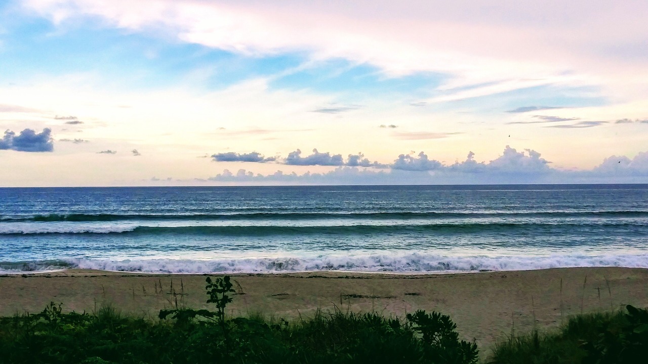 Photo of Others in Juno Beach